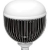 30W LED large bulb light